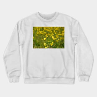 Wild Buttercup Field Crewneck Sweatshirt